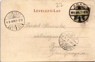 1903 Arad, Salacz park. Bloch H. kiadása / park (r)