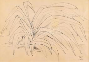 Borsos Miklós (1906-1990): Virág, 1956. Tus, papír, jelzett, lap kissé gyűrött, üvegezett fa keretben, 33×48 cm