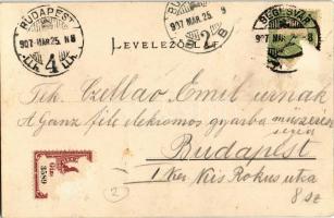 1907 Segesvár, Schässburg, Sighisoara; Petőfi szobor / statue