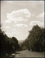 cca 1950-1960 negatívok Afga papírtokban, különféle témában