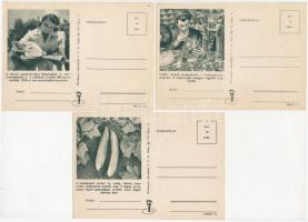 3 db MODERN magyar kommunista propaganda képeslap / 3 modern Hungarian Communist propaganda postcards