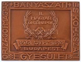 1961. "Országos Magyar Bányászati és Kohászati Egyesület - II. Magyar Öntőnapok 1961. szept. 18-20 Budapest" Br plakett (63x82mm) T:1-