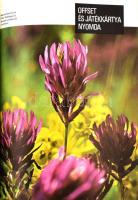 Dr Gara Miklós: Nyomdaipari enciklopédia. Budapest 1979. Műszaki Könyvkiadó. Sok színes képpel illus...