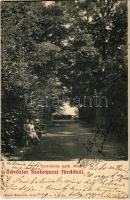 1900 Szobránc, Sobrance; Szerelmes park részlet. Moskovits Isidor kiadása / park (vágott / cut)