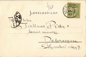 1905 Selmecbánya, Banská Stiavnica; Leányvár. Joerges kiadása / castle