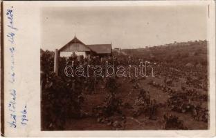 1906 Nagyvárad, Oradea; Emma nyaraló, ház a szőlőben / vineyard, villa. photo (EK)