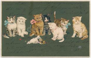 1913 Cats. Meissner & Buch Künstler-Postkarte Serie 1764. Hunde und Katzen litho (r)