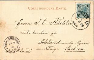 1900 Wien, Vienna, Bécs; Fleischmarkt mit griechisch-orient. Kirche / street view, meat market, Gree...