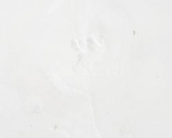 Hollóházi régi címeres kerámia fali tányér, kézzel festett, jelzett, kisebb lepattanásokkal, karcolá...