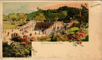New York, The Terrace, Central park. Raphael Tuck & Sons View Postcard No. 5069. litho s: Florence Robinson