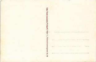 Borostyánkő, Bernstein; Schloss / vár / castle. Otto Visch Industrie-Fotograf photo