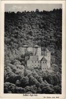 Léka, Lockenhaus; Régi vár. Dr. Binder felvétele / castle (EK)
