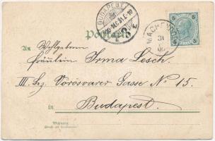 1900 Fröhliches Neues Jahr! / New Year greeting art postcard, litho (EK)