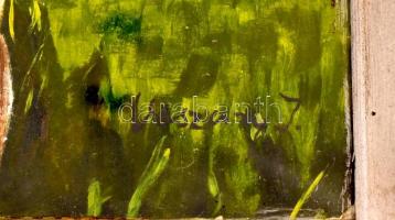 Vaszary jelzéssel: Kerti csendélet. Olaj, karton, széleinél kissé sérült. Üvegezett, kissé sérült ke...