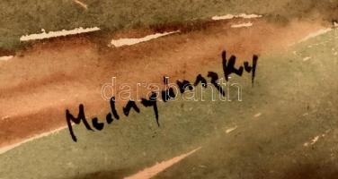 Mednyánszky jelzéssel: Tanya. Akvarell, papír, lap szélén szakadással. Üvegezett, kissé sérült keret...