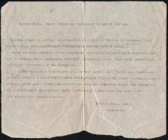1925 Közrendőr jelentése Budapesten, az Andrássy úton, tisztviselő által elkövetett kihágási ügyben. 1 géppel írt oldal, hajtásnyommal, lap alján szöveget nem érintő kisebb hiánnyal.