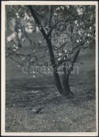 cca 1932 Kinszki Imre (1901-1945) budapesti fotóművész hagyatékából, pecséttel jelzett vintage fotó (kismadár a fa alatt), 18x13 cm