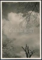 cca 1932 Kinszki Imre (1901-1945) budapesti fotóművész hagyatékából jelzés nélküli vintage fotó (Az égbolt egy erdei tisztásról), 8,5x6 cm