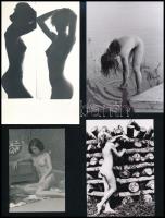 Szolidan erotikus fényképek az asztal fiából, vegyes mix (2. sz. válogatás), 13 db fotó, 6x9 cm és 9...