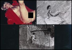 Szolidan erotikus fényképek az asztal fiából, vegyes mix (2. sz. válogatás), 13 db fotó, 6x9 cm és 9...