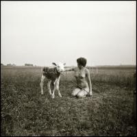 cca 1983 Felfedező utak rejtett szépségei, Menesdorfer Lajos (1941-2005) budapesti fotóművész hagyatékából, 10 db vintage NEGATÍV, 6x6 cm