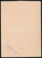 cca 1893 Bolzano (Bozen) és környékének 3 db fotója, Bolzanoi katedrális (Duomo di Bolzano), Eggenth...