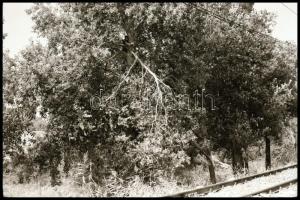 1983 A dunaharaszti HÉV-vonal bejárása, karbantartása, járművek, berendezések, stb. 37 db vintage NE...