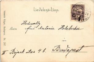 1900 Boldog Újévet! / New Year greeting art postcard with lady. Schmidt Edgar Nr. 207. litho s: Mail...