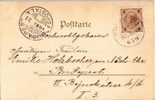 1899 Ladies. Back & Schmitt litho