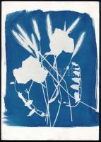 cca 1988 Cianotípia, hozzáadva készítésének receptjét, 29,5x21 cm