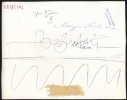 1968 Balatonszéplak, Nemzetközi Újságíró Üdülő (OIJ), sajtófotó, fotó, 'Magyar Hírek' pecs...