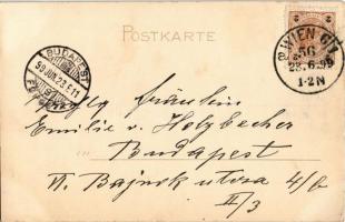 1899 Gut gewichst! / Shoeshiner. Kunstanstalt Kosmos hold to light litho