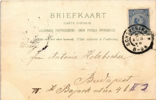 1898 De Groeten uit / Dutch Art Nouveau art postcard with smoking lady on the beach. Floral, litho (...