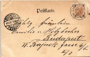 1899 Wien, Vienna, Bécs; "Lass'n mas fürigehn!" / Viennese horse-drawn carriage, fiac...