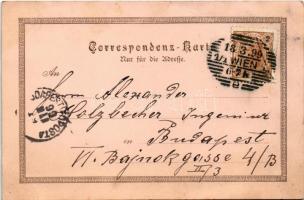 1899 Gruss aus... / greeting card with lady, humour. litho (fa)