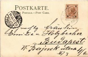 1899 Seashore. Winkler & Schorn Sonnenschein-Postkarte Serie VIII. 99115. litho