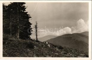 1942 Tiszaborkút, Kvaszi, Kvasy; kilátás a Mencsulról a Sesulra és a Pietroszra. Mosdóssy Endre felvétele / mountains