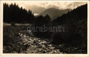 Havasalja, Tibava; Pietros a mezőháti patakkal / creek, mountain