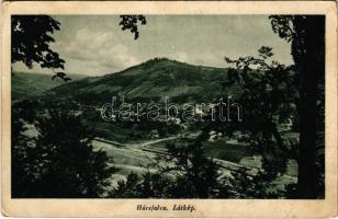 1944 Hársfalva (Szolyva, Svaliava), Nelipino, Nelipyno; látkép. Hangya Szövetkezet kiadása / general view (EK)