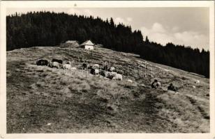 Rahó, Rachov, Rahiv, Rakhiv; Vertopa havasi menedékház. Magyar Turista Egyesület, Rahói osztály. Dr. Peitler Gyula felvétele / chalet, tourist house