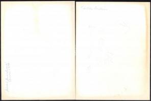 Kádár András: Máté Péter (1947-1984) énekes, dalszerzőről készült fotók, össz. 6 db. Hátoldalán jelz...