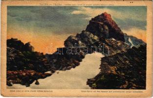 Tátra, Magas-Tátra, Vysoké Tatry; Konciar vrcha Ganek so svojimi vecnymi ladovymi polami / Ganek csúcs az alatta elterülő örökös hómezővel. Földes Samu kiadása 15. sz. / Ganek-Spitze mit dem darunter sich erstreckenden ewigen Schneefelde / mountain peak, snow field (fa)