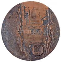 Pátkai Ervin (1937-1985) 1973. "Budapest II. kerület 1873-1973" Br emlékplakett (112mm) T:2