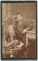 cca 1885 Gyerekek műtermi portréja, keményhátú fotó Molnár kézdivásárhelyi/tusnádi műterméből, 10,5×6,5 cm