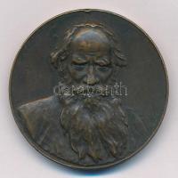 Szovjetunió 1977. "Tolsztoj" Br emlékérem az "Orosz Irodalom Klasszikusai" sorozatból (36mm) T:2 ph. Soviet Union 1977. "Tolstoy" Br commemorative medal from the "Classics of Russian Literature" series (36mm) C:XF edge error
