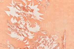 Almásy Aladár (1946): Egy kis egér letét elhelyezése a szakadék iskolába, 1978. Rézkarc, papír, jelz...