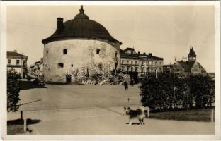 Vyborg, Wiborg, Viipuri; street view, tower, automobile, police station, dog. Foto Adam