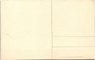 Turku, Abo; Biolooginen museo / Biological Museum. photo