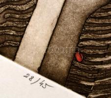 Deim Pál (1932-2016): Tisztítótűzben, 1994. Rézkarc, papír, jelzett, számozott: 28/45. 15,5×17 cm