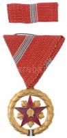 1954. Szocialista Munkáért Érdemérem zománcozott fém kitüntetés mellszalagon, szalagsávval, dísztokban T:1- NMK 603.